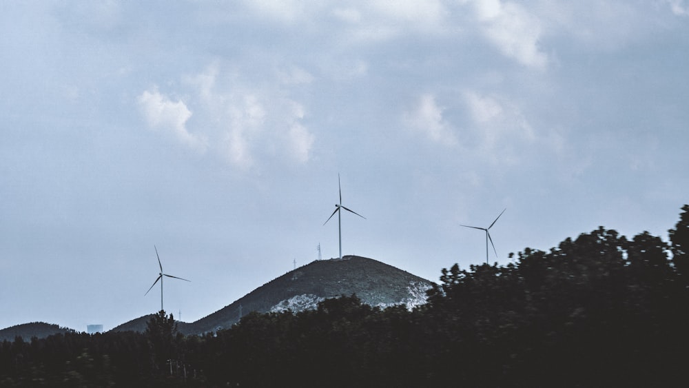 silhouette of trees near windmill under gray sky