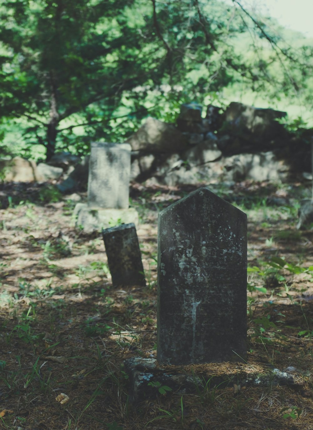 gray tomb