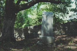 Serene and respectful marble tombstone surrounded by gentle natural light.