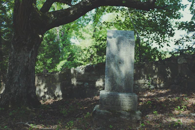 A granite tombstone with a smooth finish surrounded by fresh flowers under soft sunlight.