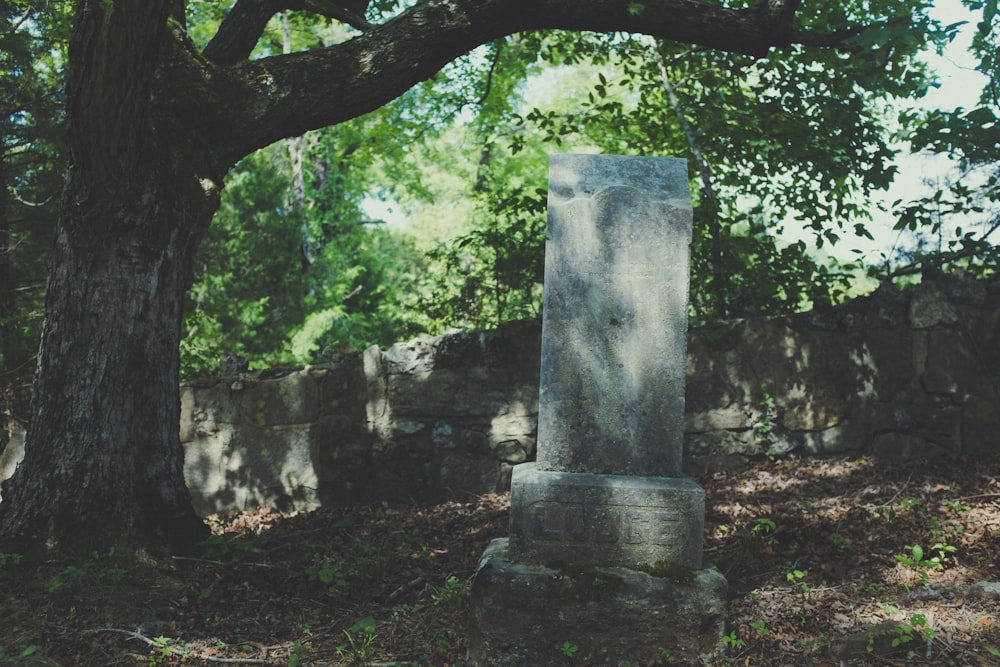 gray tomb under tray