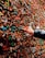 A hand is placing a piece of chewing gum onto a wall covered in numerous pieces of colorful gum. The wall has an assortment of colors and textures, creating a complex and vibrant pattern.