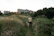 A warm family apartment scene with a dog walker gently holding a leash during a sunny afternoon walk.