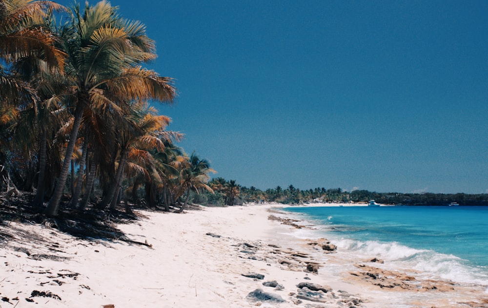 Ozean neben der Sandbank