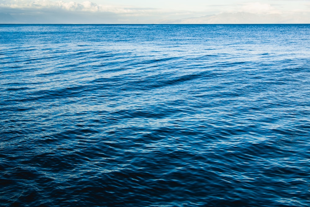 aerial photography of body of water