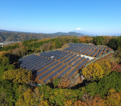 solar panel energy farm