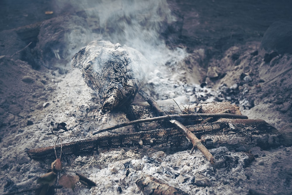 a pile of wood sitting on top of a pile of dirt