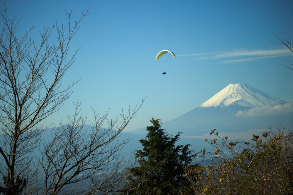 person paragliding during daytime