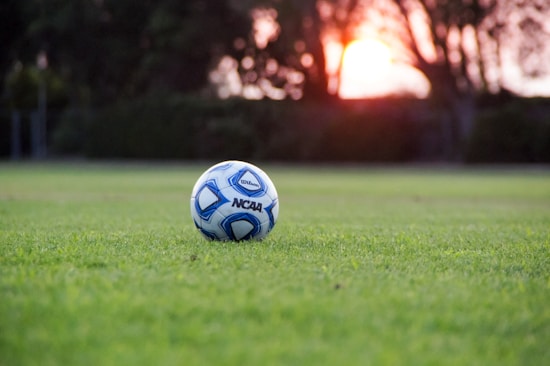 A soccer ball with a blue and white pattern rests on a green grassy field. In the background, the sun is setting or rising behind blurred trees, casting a warm glow over the scene.