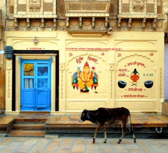 A traditional Indian building facade adorned with intricate designs and a painting of the Hindu deity Ganesha. The wall is painted in light yellow with red and black inscriptions around the deity. There is a bright blue double door to the left, and a calf walking in the foreground.