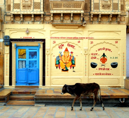 A traditional Indian building facade adorned with intricate designs and a painting of the Hindu deity Ganesha. The wall is painted in light yellow with red and black inscriptions around the deity. There is a bright blue double door to the left, and a calf walking in the foreground.