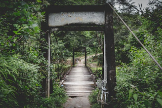 Cyclists crossing a rustic wooden bridge surrounded by lush greenery.