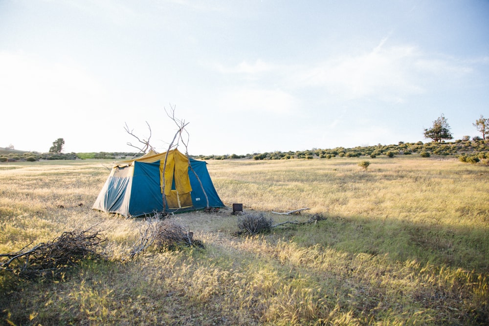 blue and yellow cabin tent on field