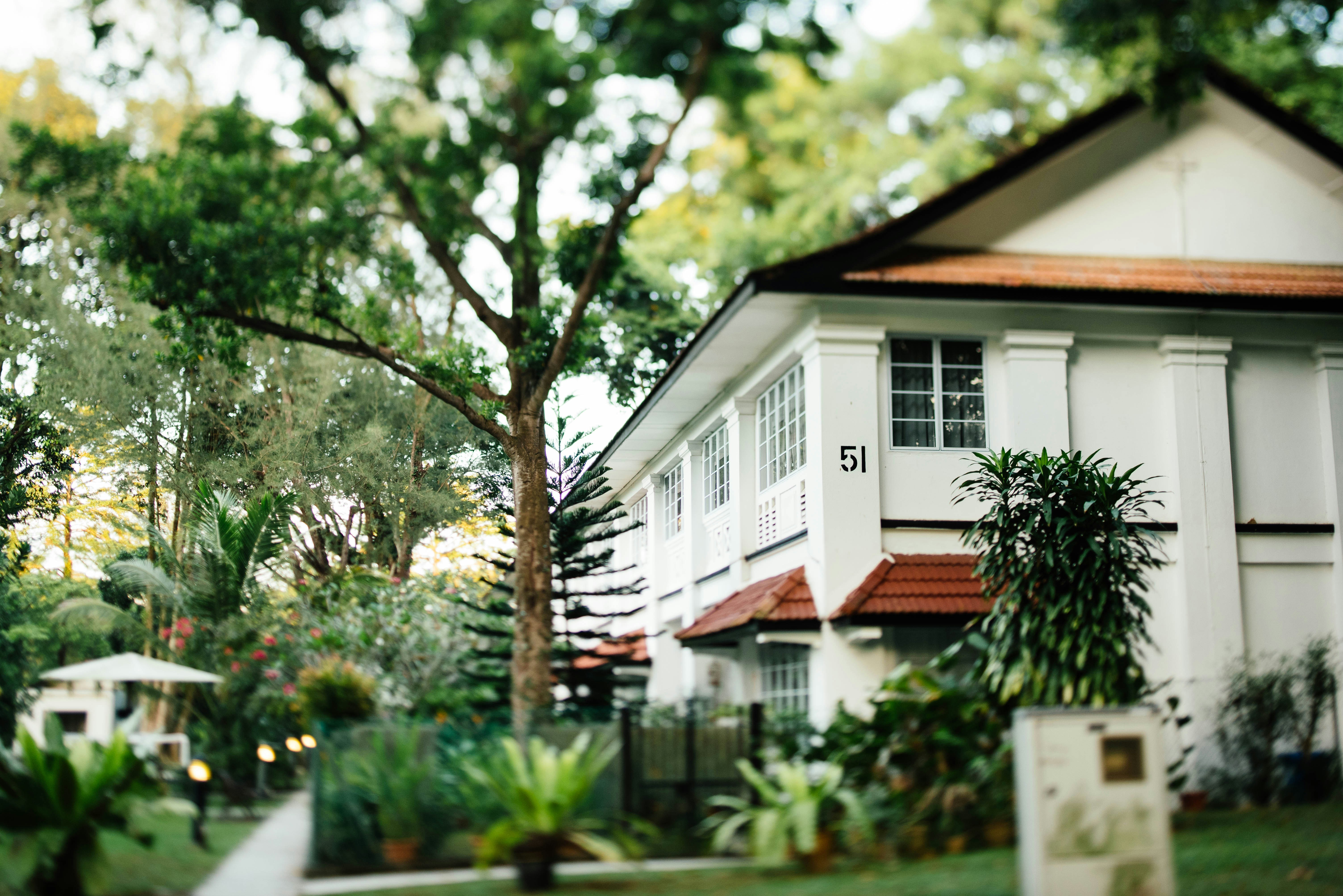 Photo by chuttersnap