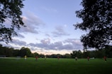 Spacious soccer field with players enjoying a friendly match in the afternoon