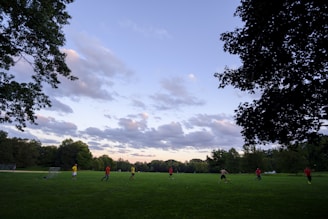 A group of mixed-ability players enjoying a soccer game on a sunny field.