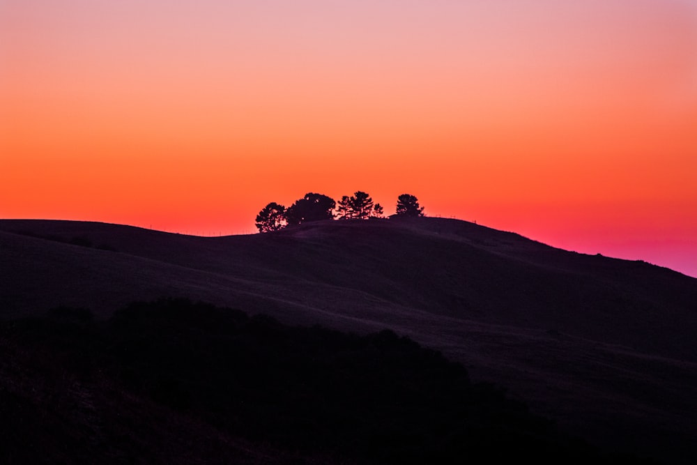 Le ciel orange coloré crée des silhouettes au coucher du soleil