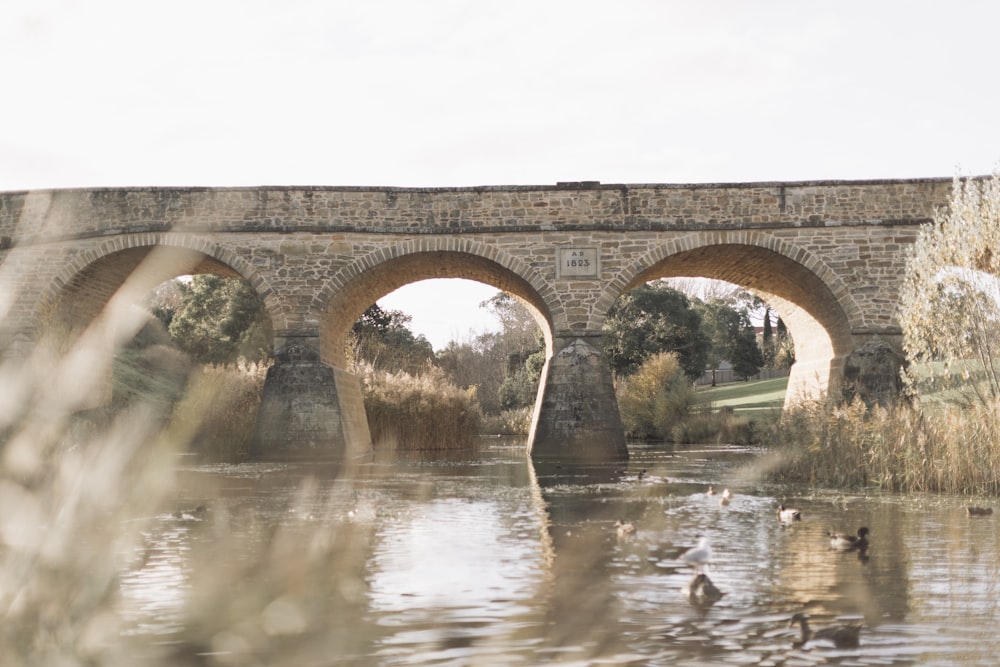 arch bridge under cumulus clouds