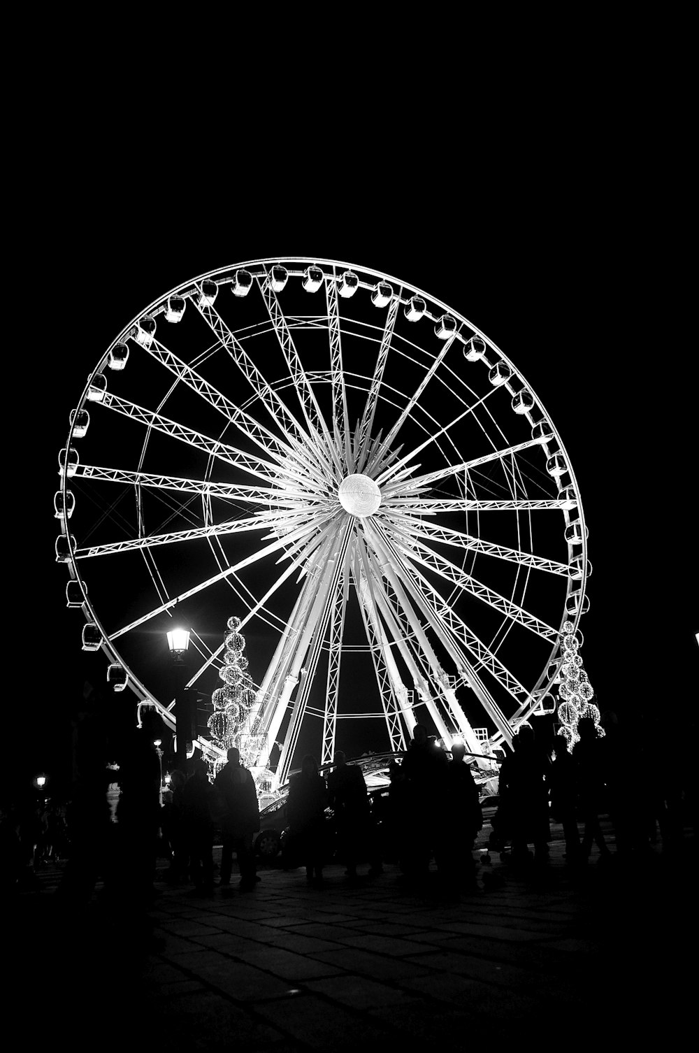 people standing near Ferris Wheel