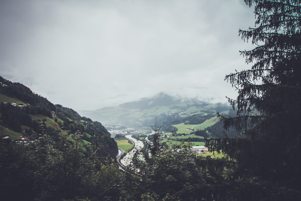 a river running through a lush green valley