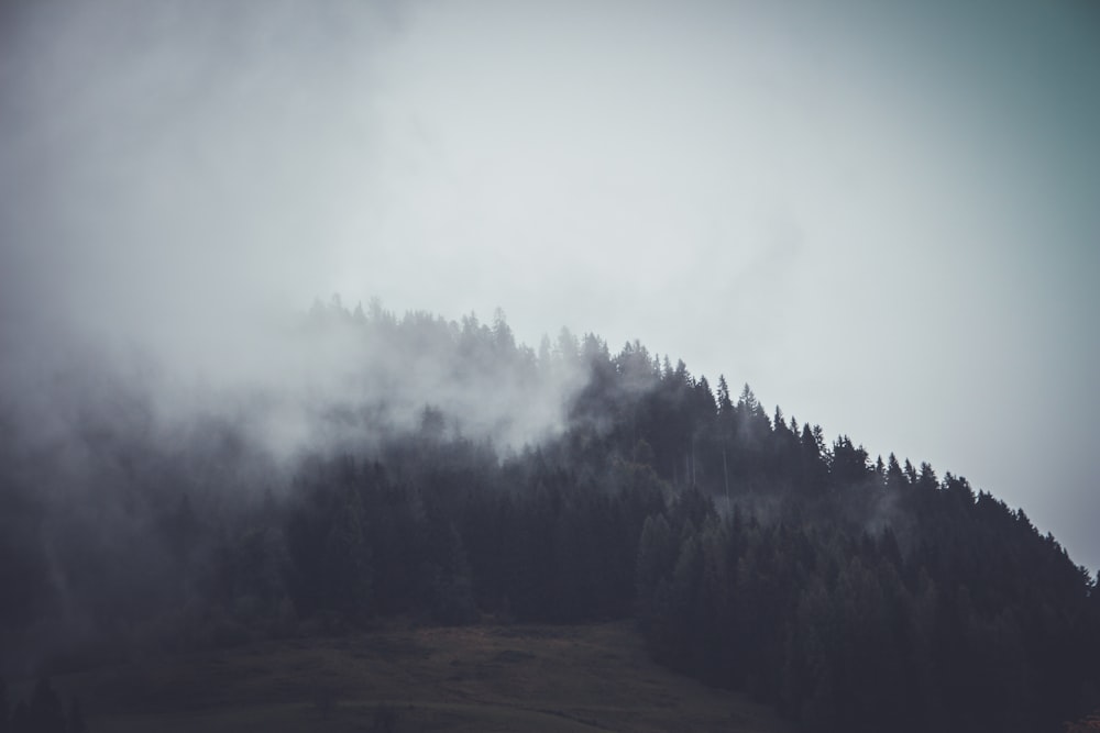 silhouette of mountain covered with white fo