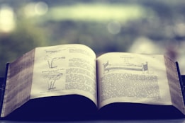 An open book featuring printed text and simple hand-drawn illustrations, possibly instructional or educational in nature. The setting is peaceful, with a blurred, natural background visible through a window.