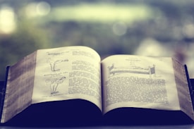 An open book featuring printed text and simple hand-drawn illustrations, possibly instructional or educational in nature. The setting is peaceful, with a blurred, natural background visible through a window.