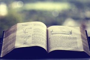 An open book featuring printed text and simple hand-drawn illustrations, possibly instructional or educational in nature. The setting is peaceful, with a blurred, natural background visible through a window.