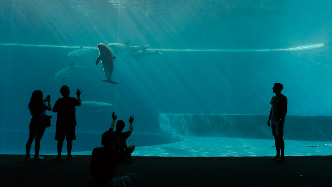 travelers stories about Underwater in Aquarium of Genoa, Italy