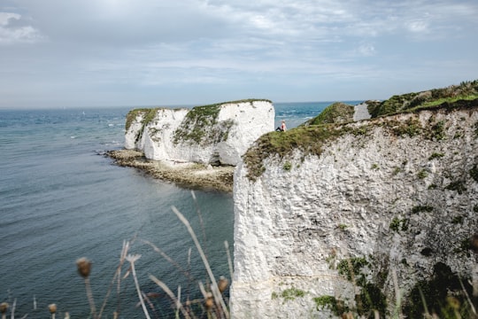 White Cliffs of Dover in Purbeck Heritage Coast United Kingdom