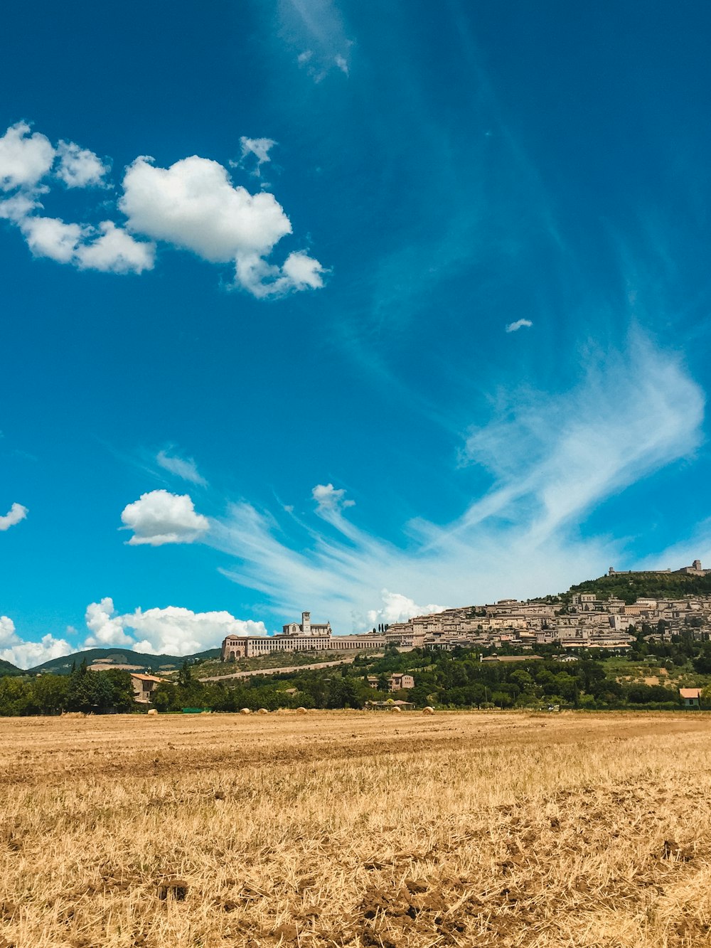 grass field near buildings under blue sky