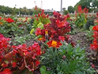 A vibrant garden scene representing elo's garden brand.