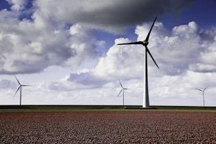 white wind turbines