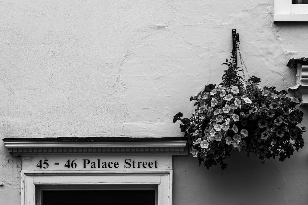 Una foto en blanco y negro de un edificio con una flor colgando de su