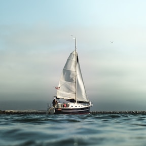 white and black sailboat on calm water