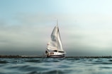 white and black sailboat on calm water