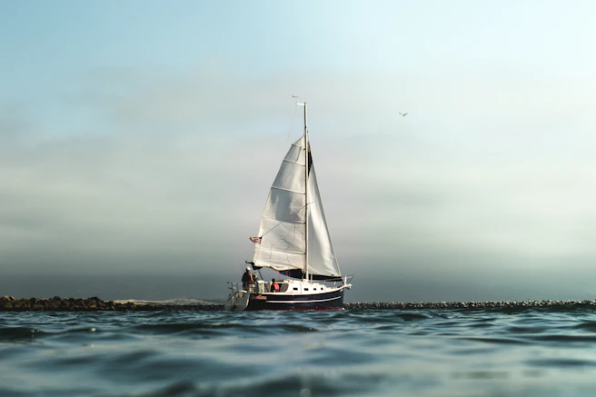 white and black sailboat on calm water