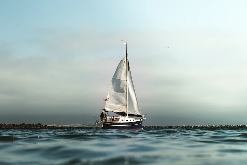 white and black sailboat on calm water