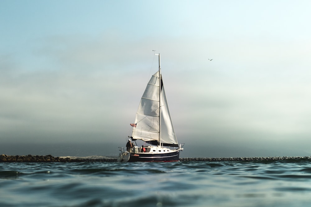 穏やかな水面に浮かぶ白と黒の帆船