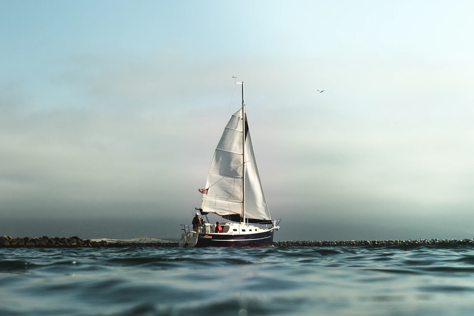 A white and black sailboat gliding on calm water toward the horizon