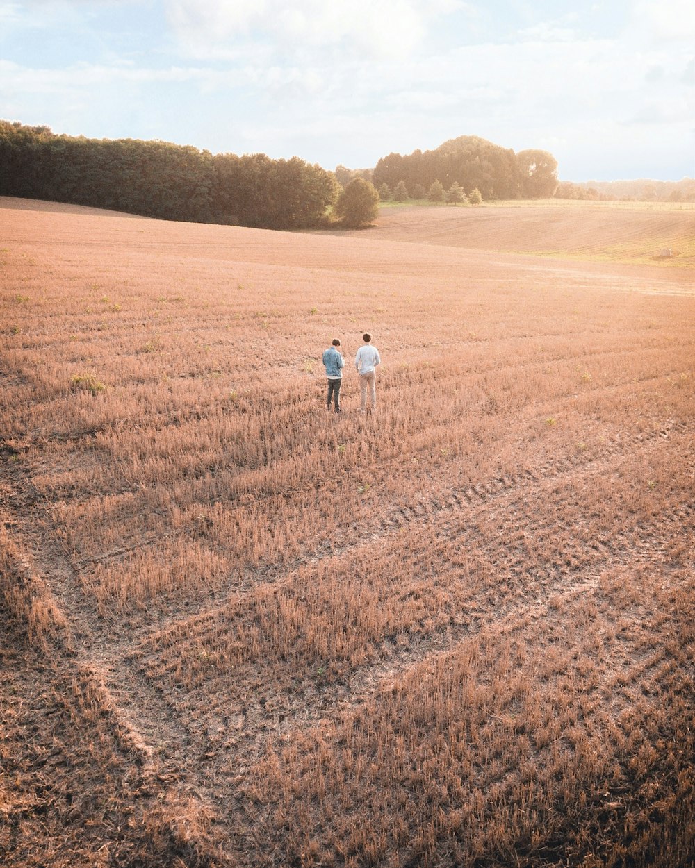 dois homens em pé no campo da fazenda
