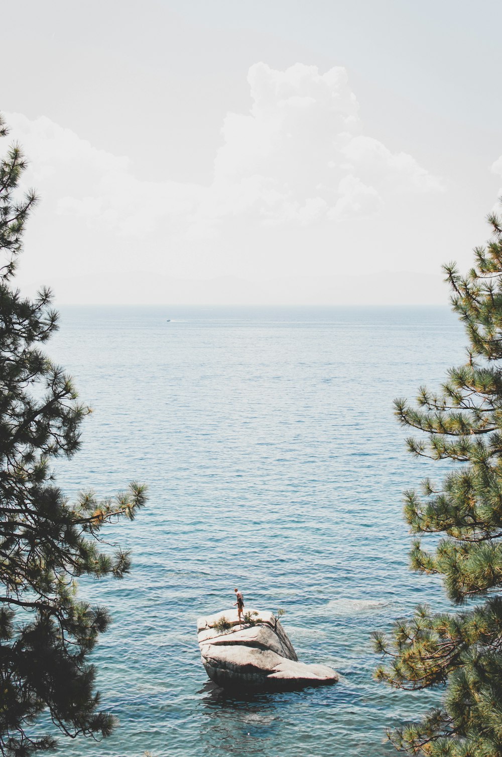 person standing on boulder surrounded by body of water away from trees