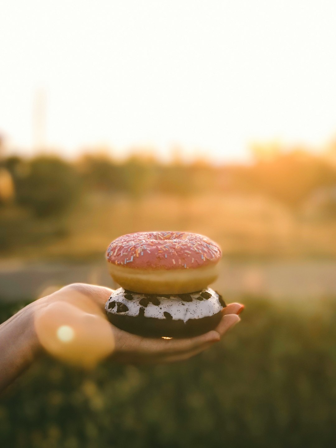 two donuts on human hand