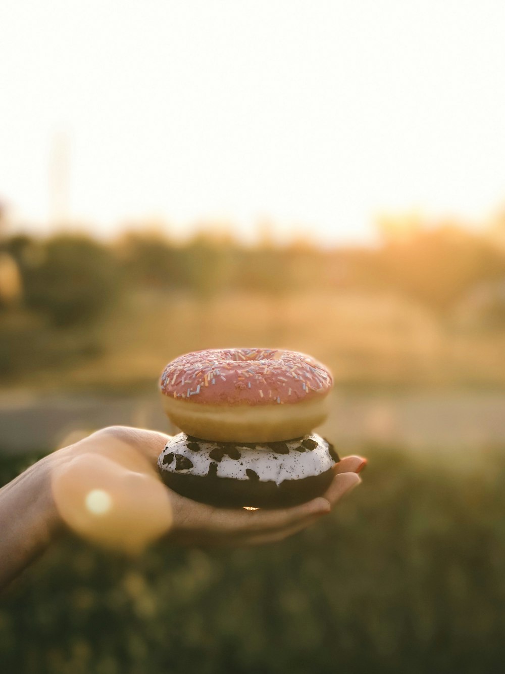 two donuts on human hand