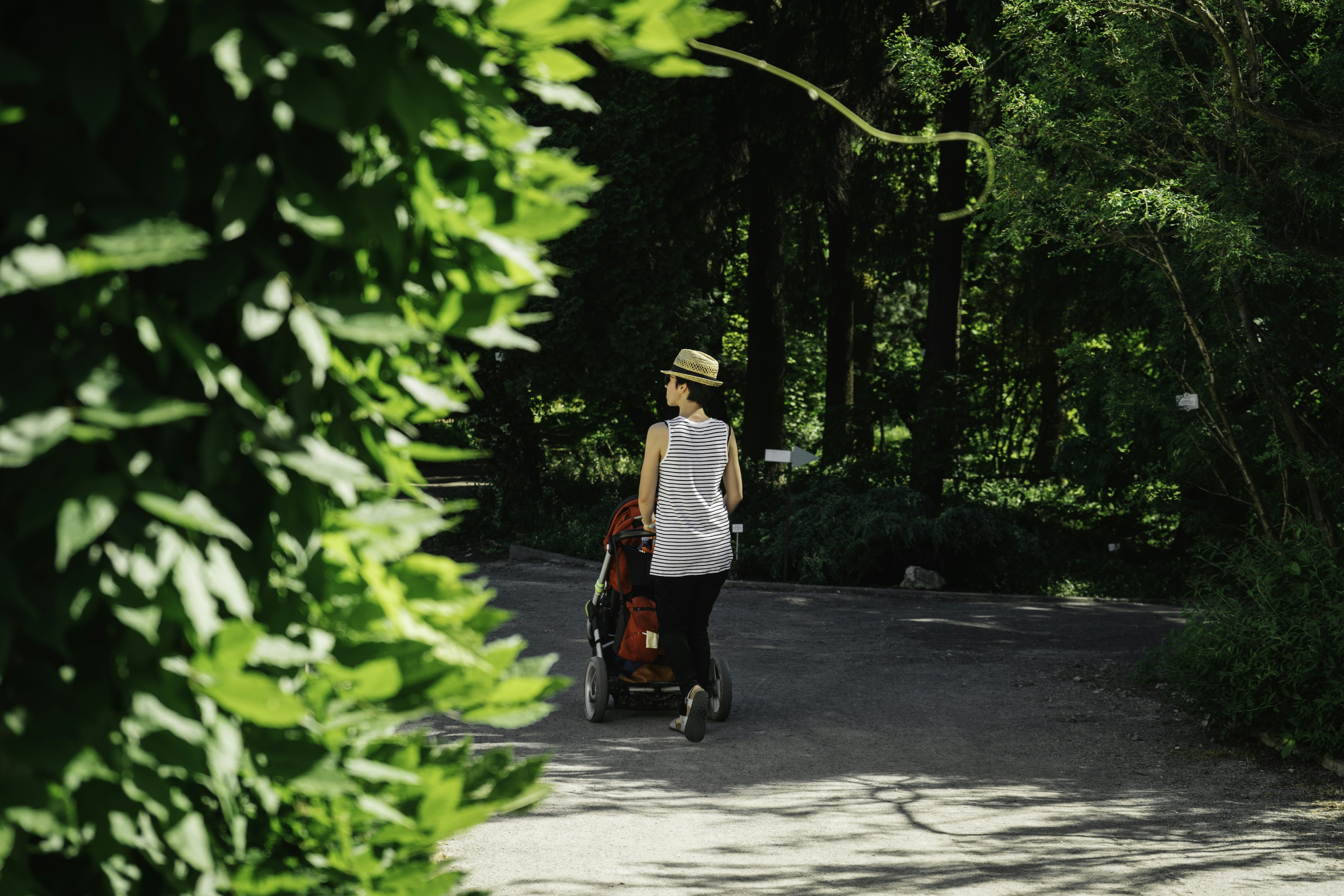 Review: Mother's Rule of Life by Holly Pierlot