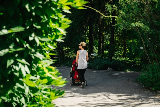man in white and black long sleeve shirt riding red and black motor scooter during daytime in Botanic Garden of the Jagiellonian University Poland