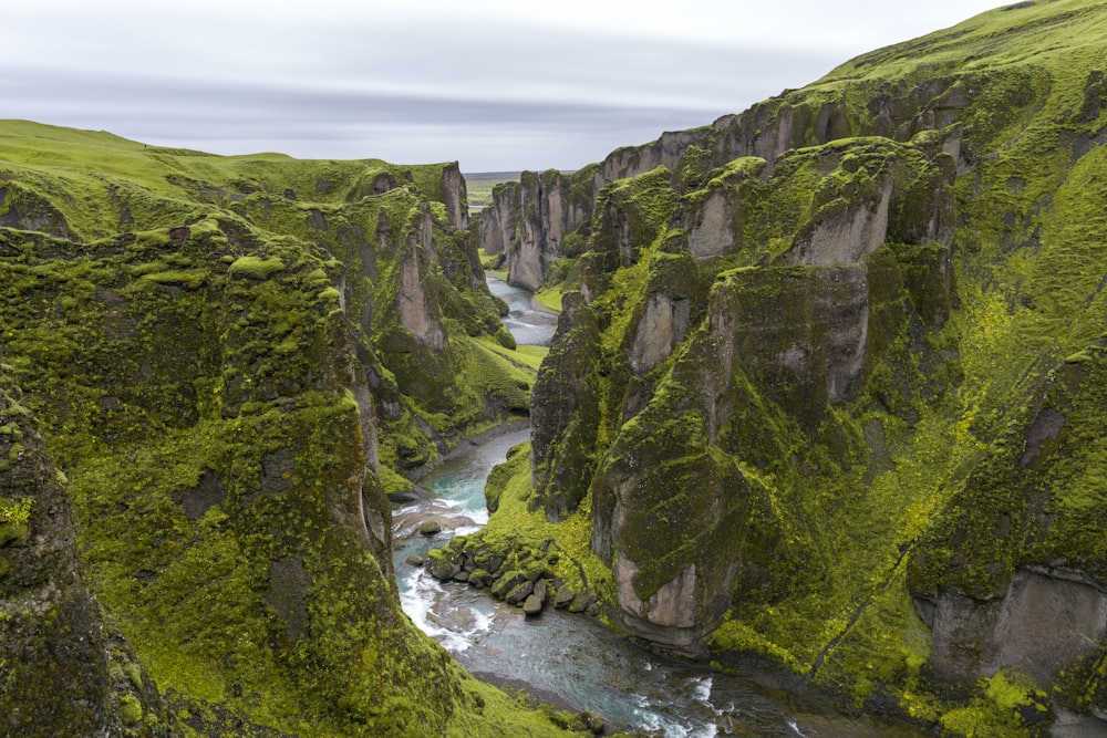 grüne, moosbewachsene Klippe mit Fluss in der Mitte