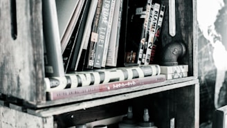 The industrial pipe shelf showcasing a mix of vintage decor and modern accents.