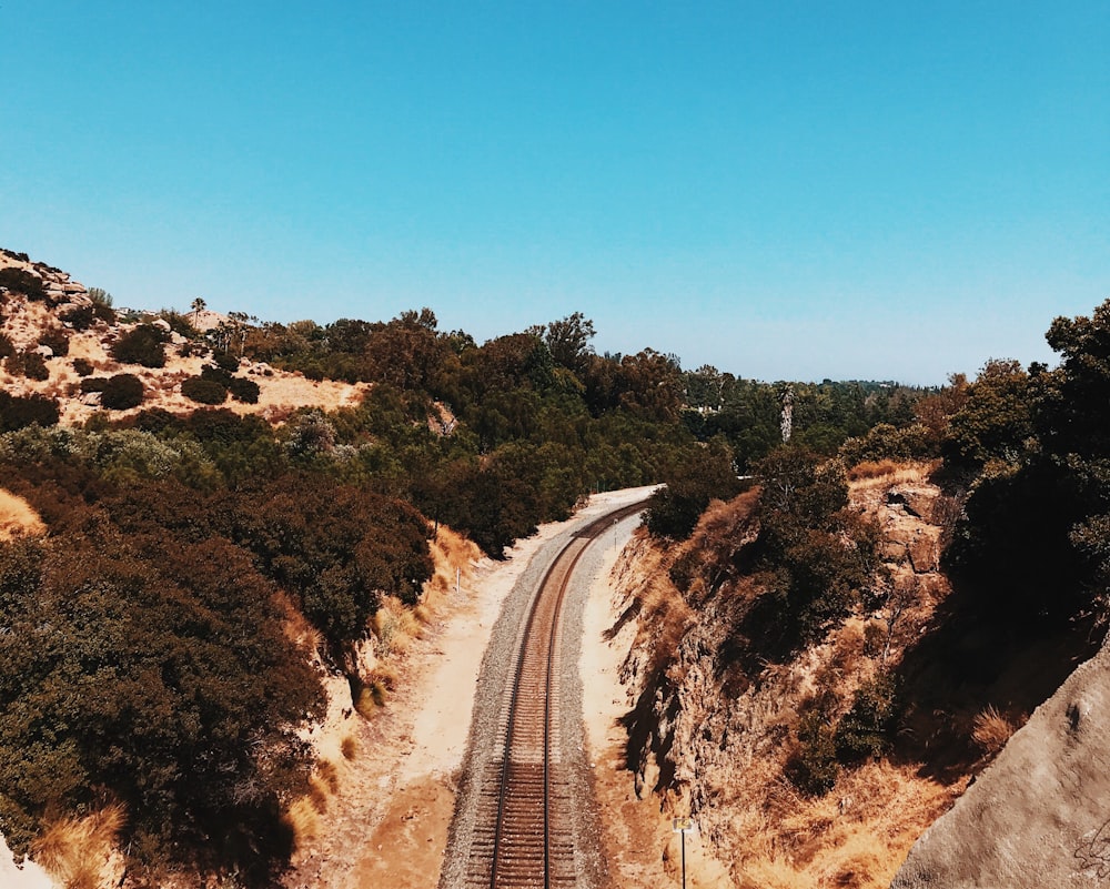 railroad surrounded by trees during daytime