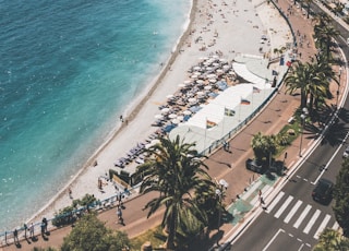 beach near road at daytime